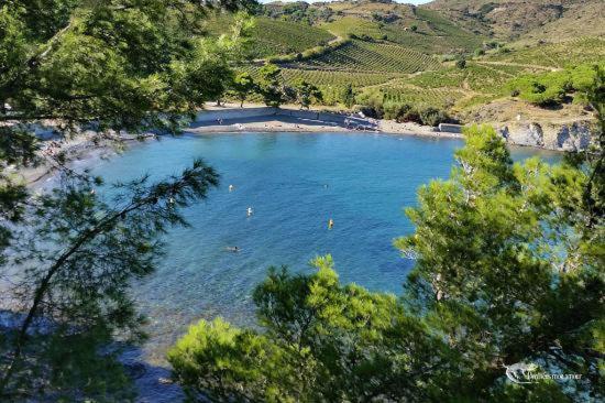 Appart Coeur De Village - Proche Des Criques Port Vendres Bagian luar foto